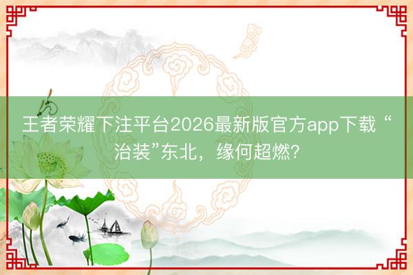 王者荣耀下注平台2026最新版官方app下载 “治装”东北，缘何超燃？